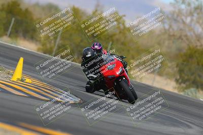 media/Mar-12-2023-SoCal Trackdays (Sun) [[d4c8249724]]/Turn 3 (11am)/